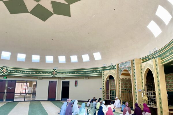 IMG_2222 copy